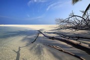 壓力大脫發(fā)毛發(fā)斷 壓力大脫頭發(fā)?